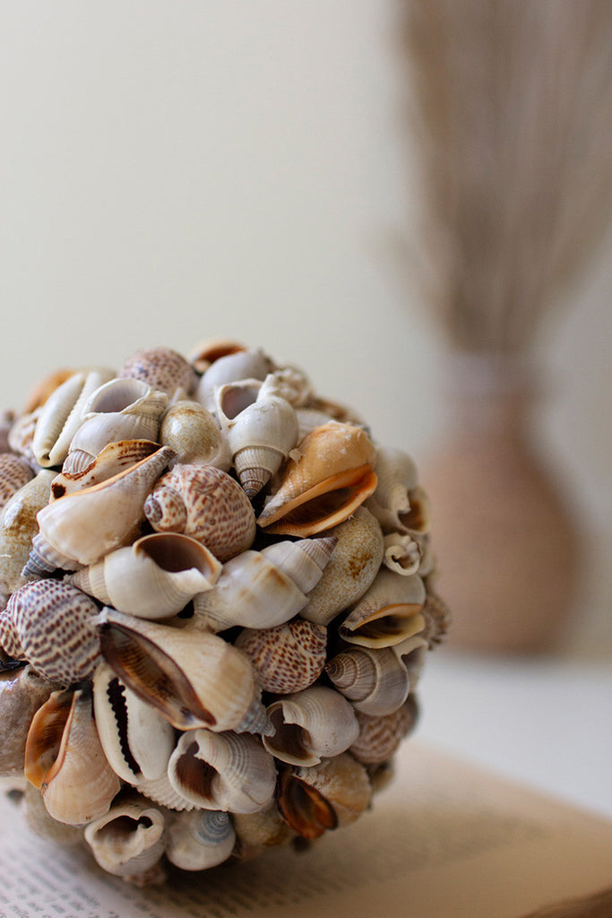 Shell Ball, Set of 4 - Bombay Mercantile