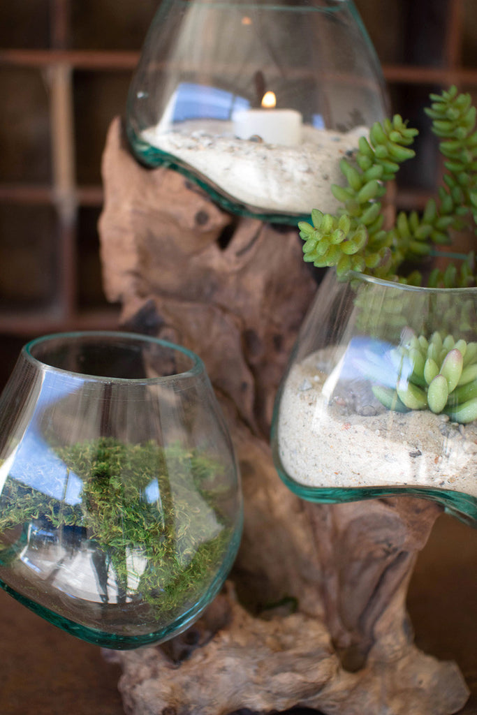 Three Blown Glass Bowls on a Driftwood Base - Bombay Mercantile