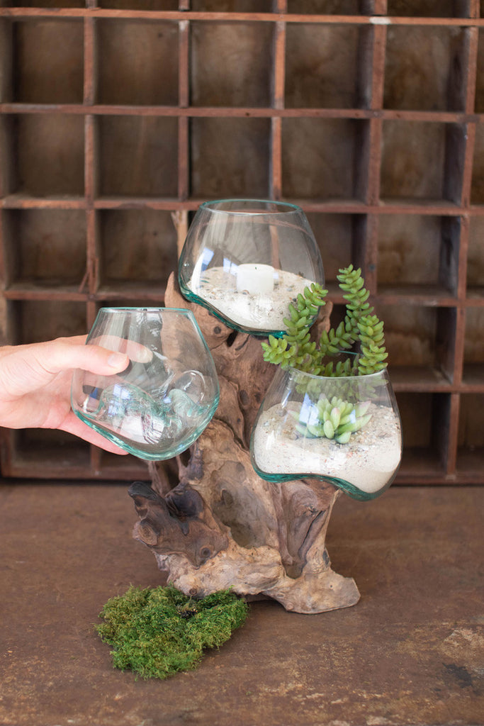 Three Blown Glass Bowls on a Driftwood Base - Bombay Mercantile