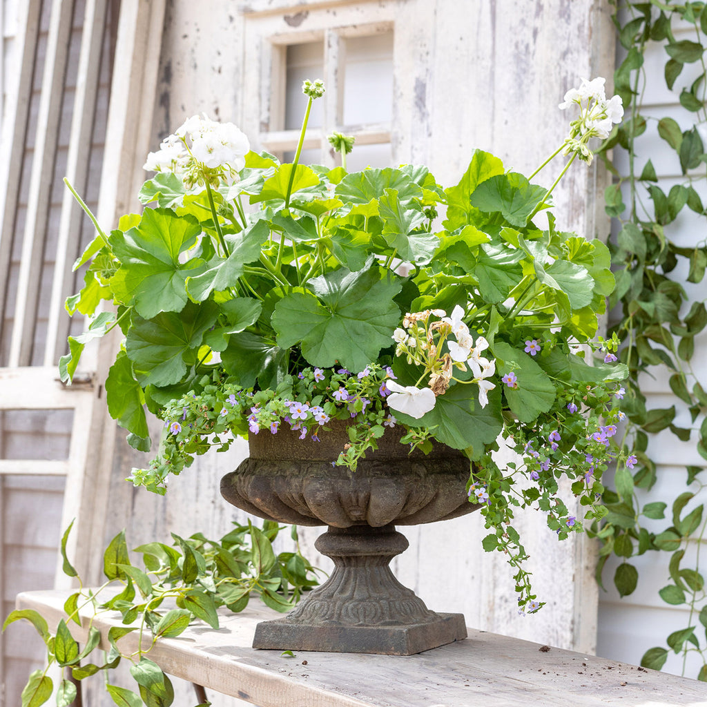 Classic Cast Iron Garden Urn - Bombay Mercantile