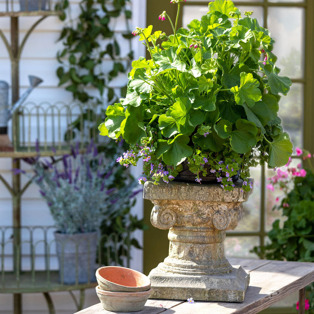 Courtyard Garden Pedestal, 13" - Bombay Mercantile