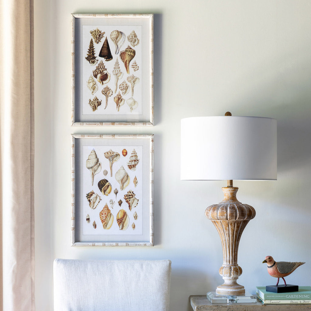 Seashell Collection Prints, 2 Assorted Styles - Bombay Mercantile