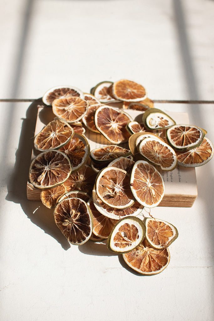 Dried Orange Slice Garland, Set of 6 - Bombay Mercantile