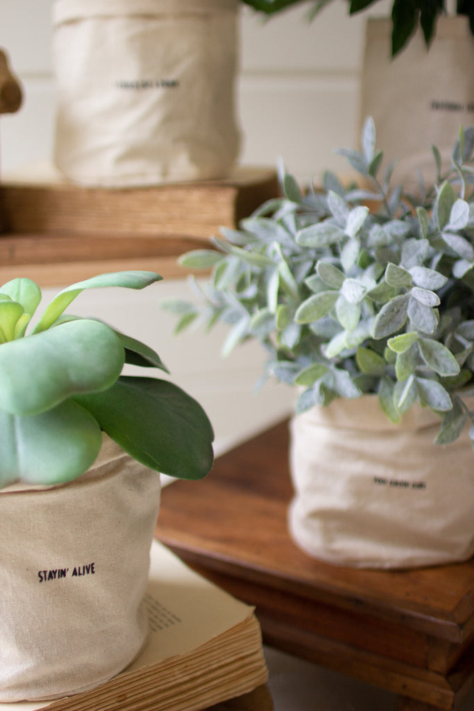 Set of 5 Canvas Planters with Sayings - Bombay Mercantile