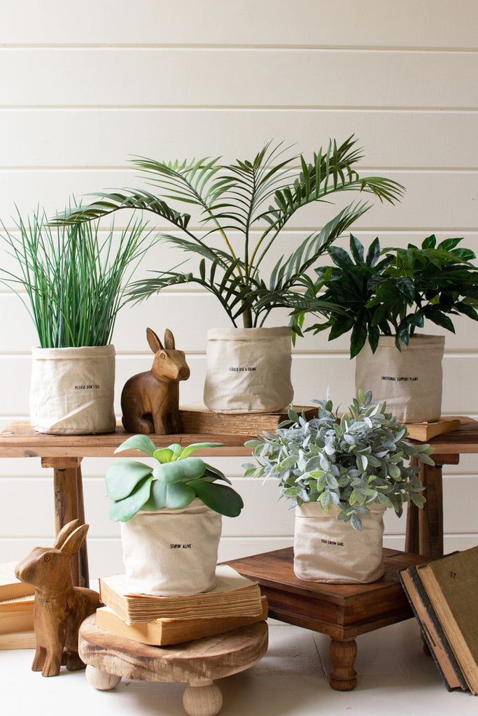 Set of 5 Canvas Planters with Sayings - Bombay Mercantile