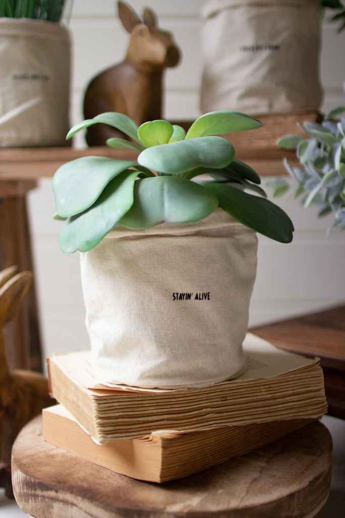Set of 5 Canvas Planters with Sayings - Bombay Mercantile