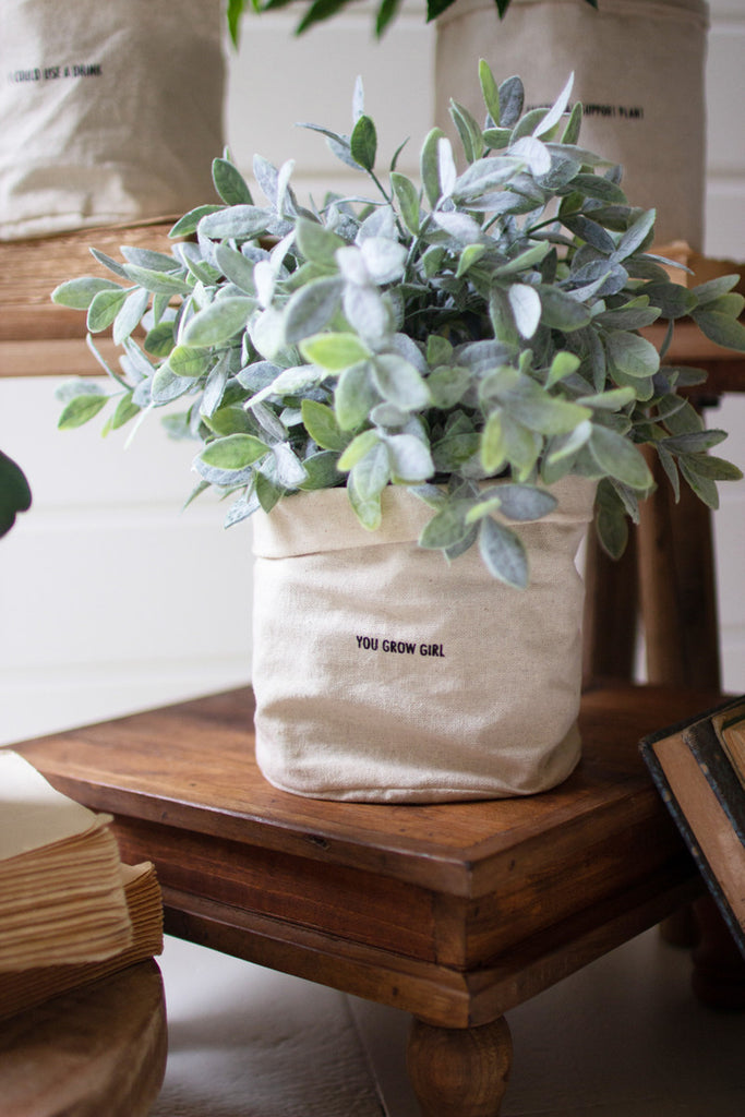 Set of 5 Canvas Planters with Sayings - Bombay Mercantile