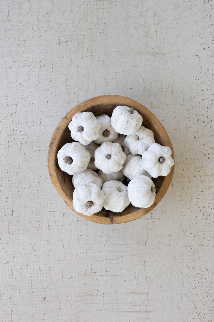 Bag of 15 Dried Miniature Faux Pumpkins / White - Bombay Mercantile