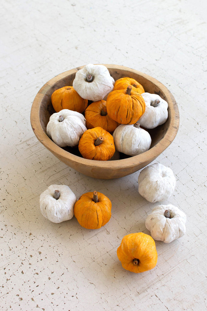 Bag of 15 Dried Miniature Faux Pumpkins / White - Bombay Mercantile