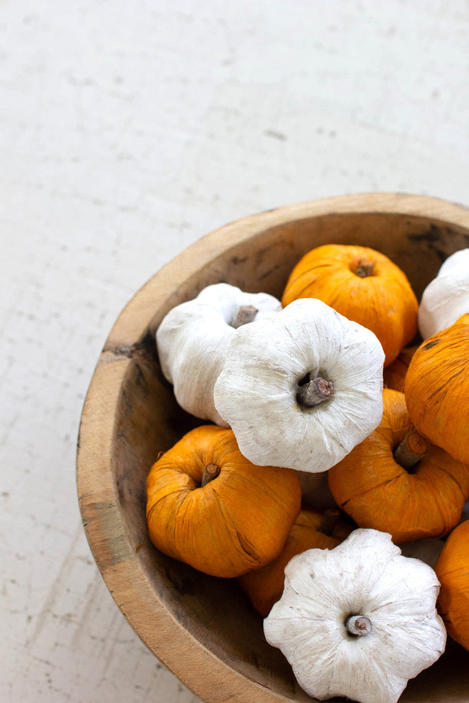 Bag of 15 Dried Miniature Faux Pumpkins / White - Bombay Mercantile