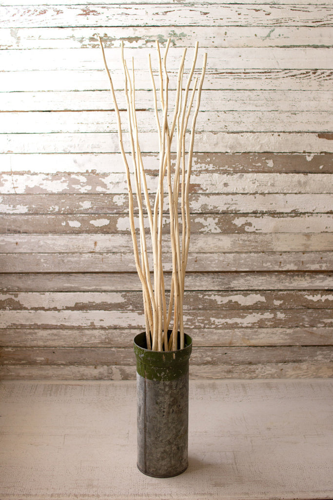 Bundle of 12 Natural Kambooi Branches - Bombay Mercantile