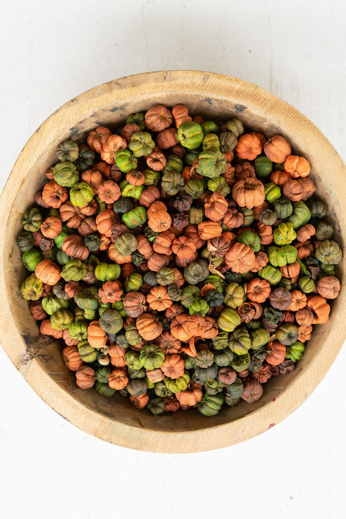 Bag of Orange and Green Putka Pods, Set of 12 - Bombay Mercantile