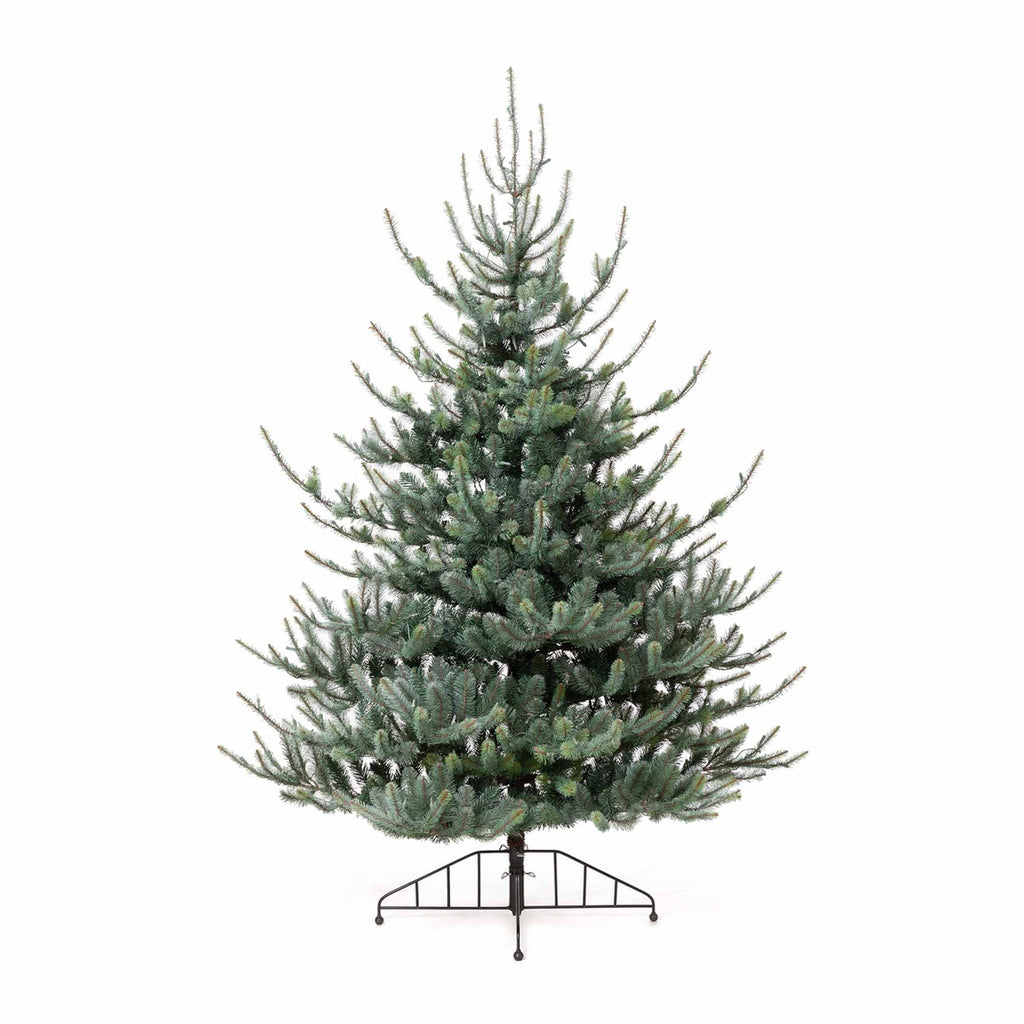 Blue Spruce Half Christmas Tree, 7.5' - Bombay Mercantile