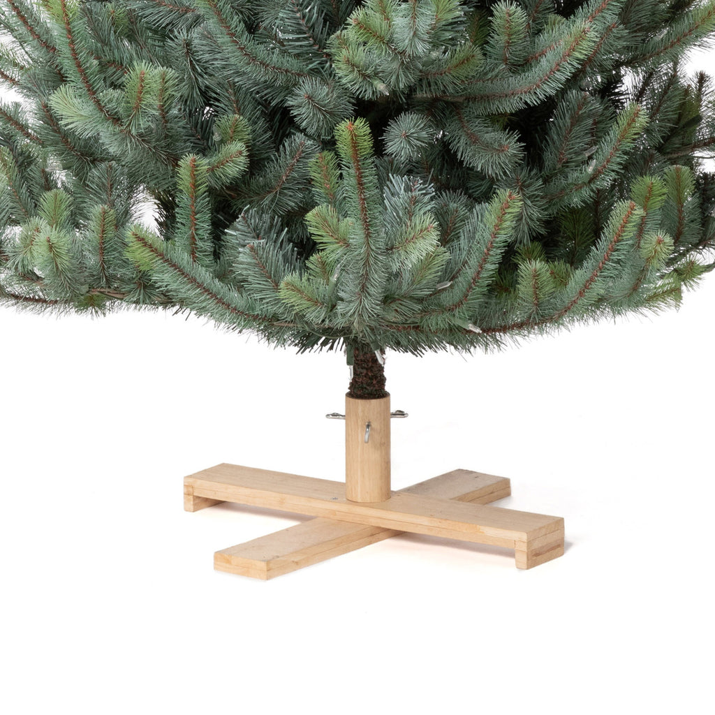 Blue Spruce Christmas Tree, 5.5' Tree Lot - Bombay Mercantile