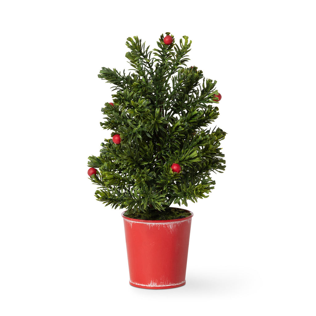 Mini Spruce Tree in Red Bucket - Bombay Mercantile