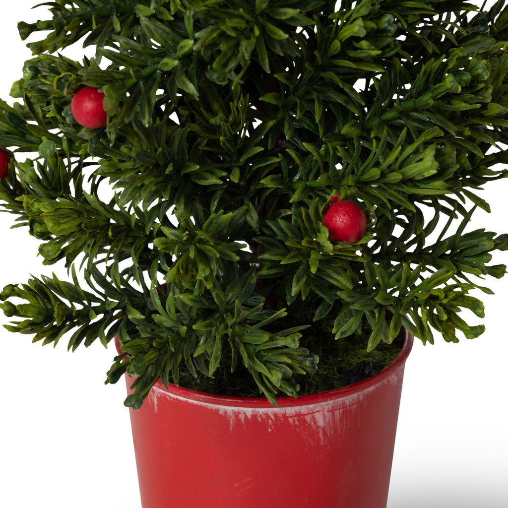 Mini Spruce Tree in Red Bucket - Bombay Mercantile