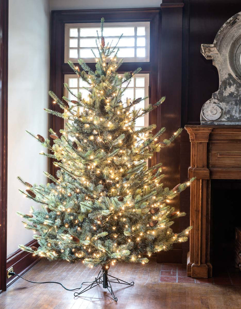 Blue Spruce Christmas Tree, 7.5' - Bombay Mercantile