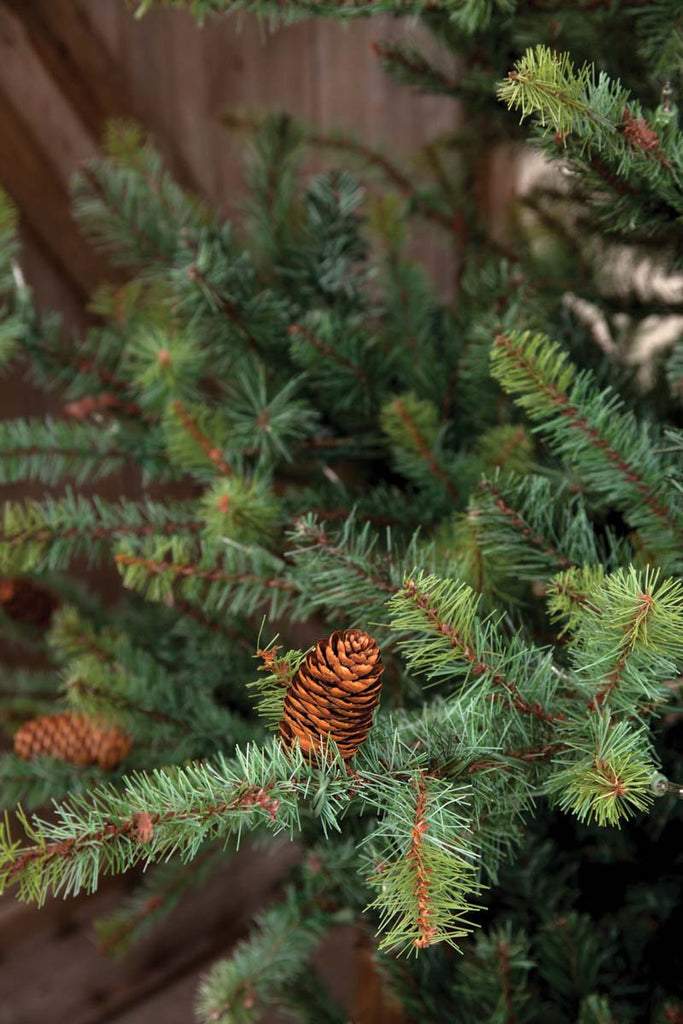 Blue Spruce Christmas Tree, 7.5' - Bombay Mercantile