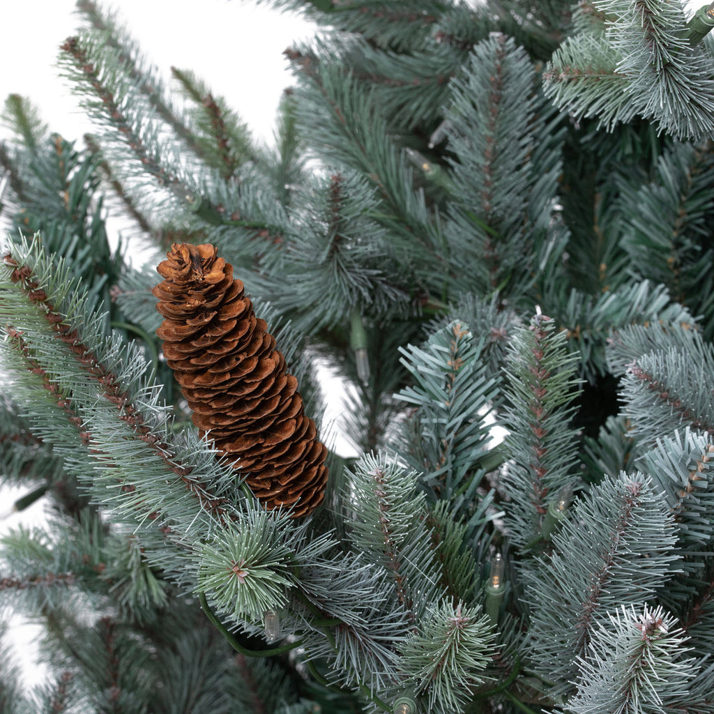Blue Spruce Christmas Tree, 7.5' Clear and Multi Lights - Bombay Mercantile
