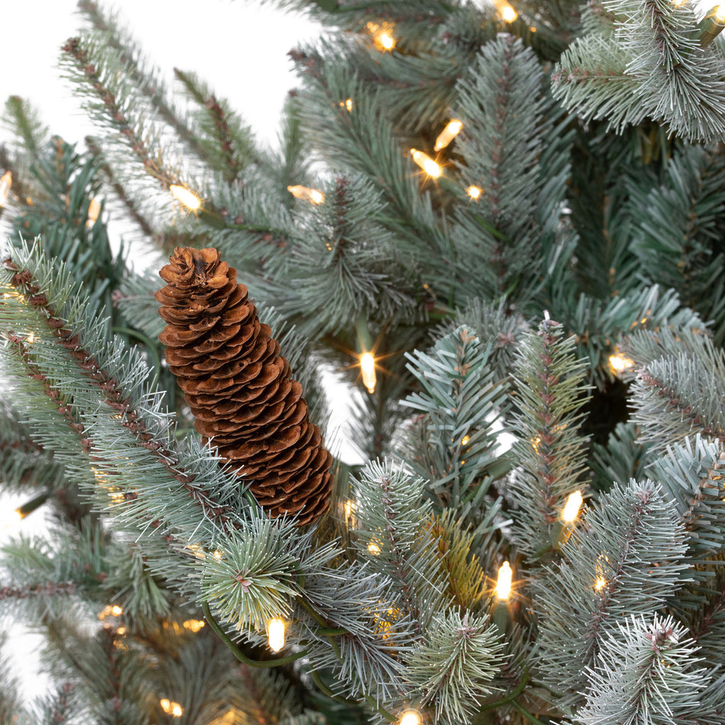 Blue Spruce Christmas Tree, 7.5' Clear and Multi Lights - Bombay Mercantile