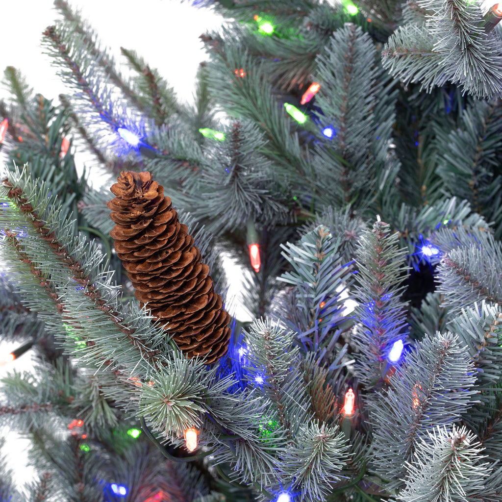 Blue Spruce Christmas Tree, 7.5' Clear and Multi Lights - Bombay Mercantile
