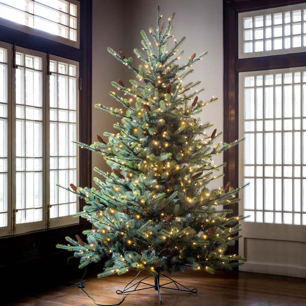 Blue Spruce Christmas Tree, 7.5' Clear and Multi Lights - Bombay Mercantile