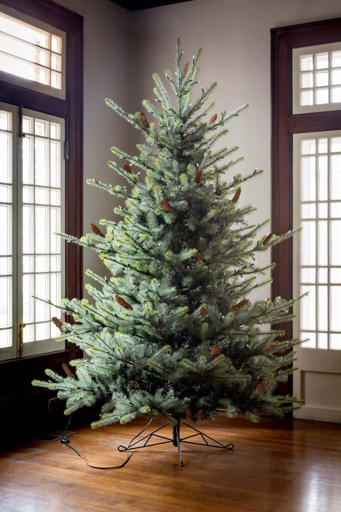 Blue Spruce Christmas Tree, 7.5' Clear and Multi Lights - Bombay Mercantile