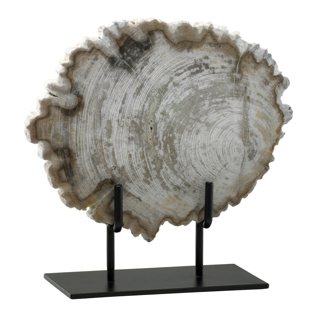 Petrified wood piece - The Nifty Decor