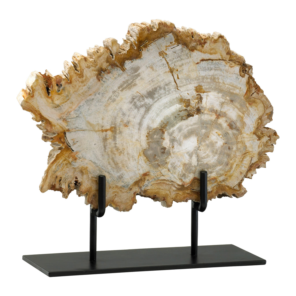 Petrified wood piece - The Nifty Decor