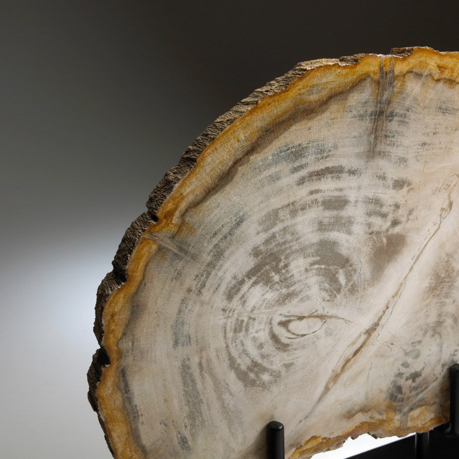 Dried Bark sculpture - The Nifty Decor