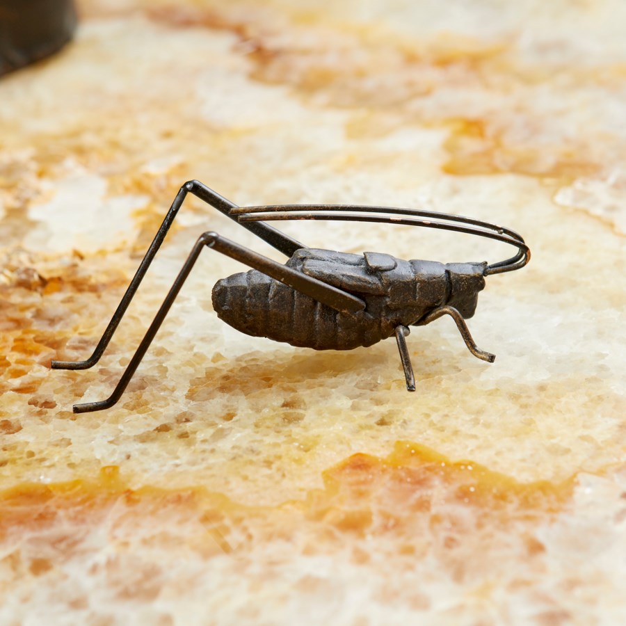 Cricket sculpture - The Nifty Decor