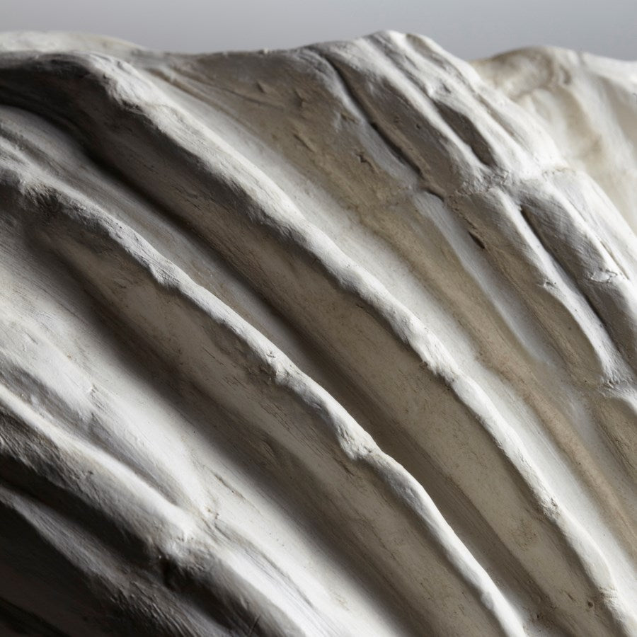 White clamshell wall sconce - The Nifty Decor