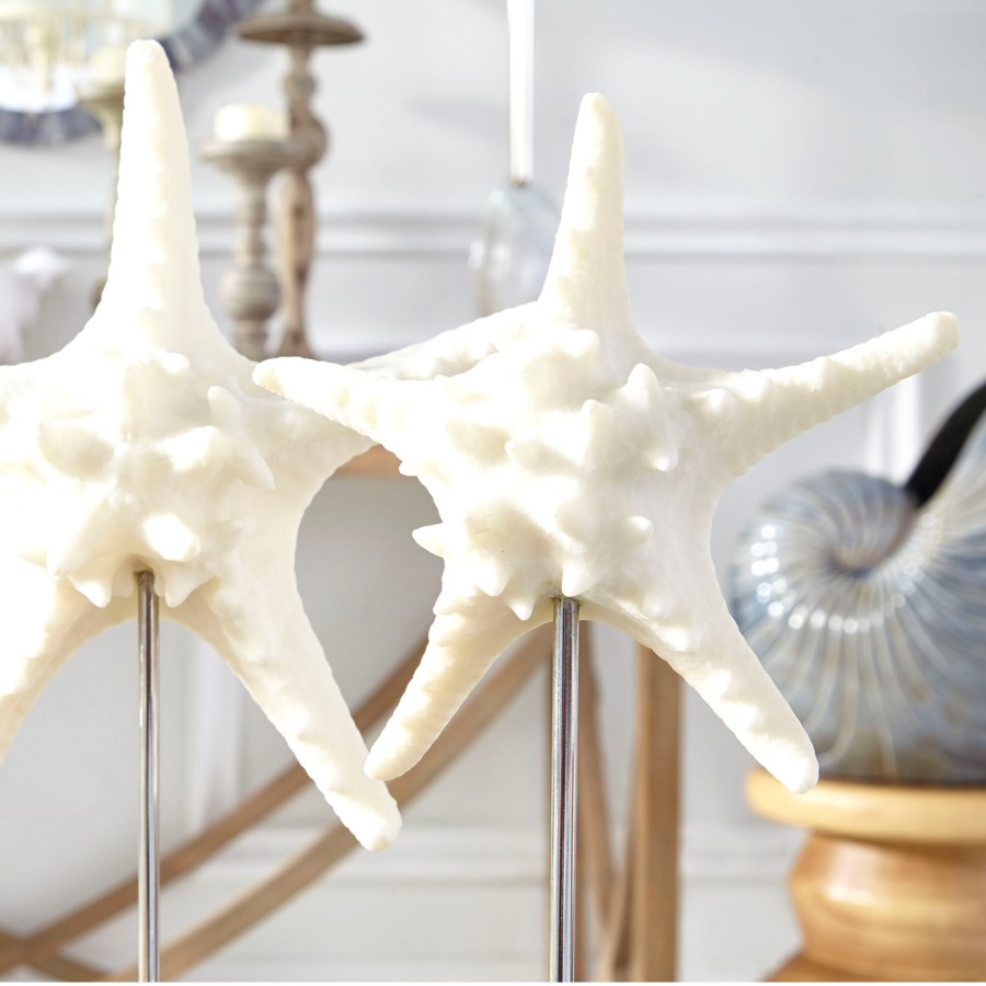 Crystal sea star fish sculpture - The Nifty Decor