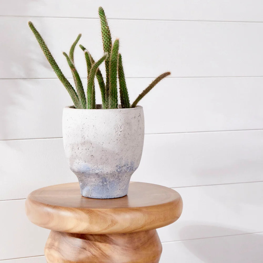 Antique White Blue Accents Planter - Bombay Mercantile