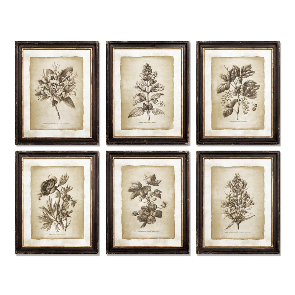 FRAMED VINTAGE FLORAL PRINTS, SET OF 6 - The Nifty Decor