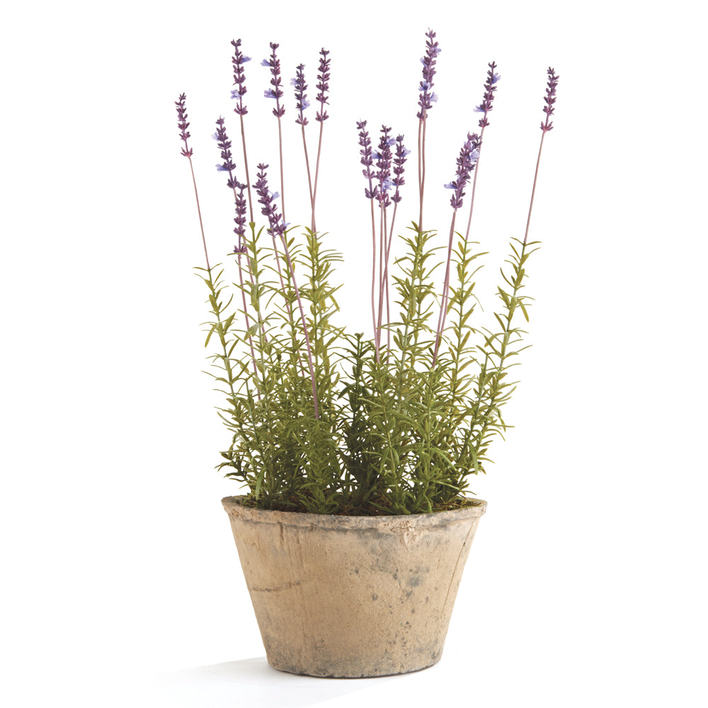 FRENCH LAVENDER POTTED 21" - The Nifty Decor