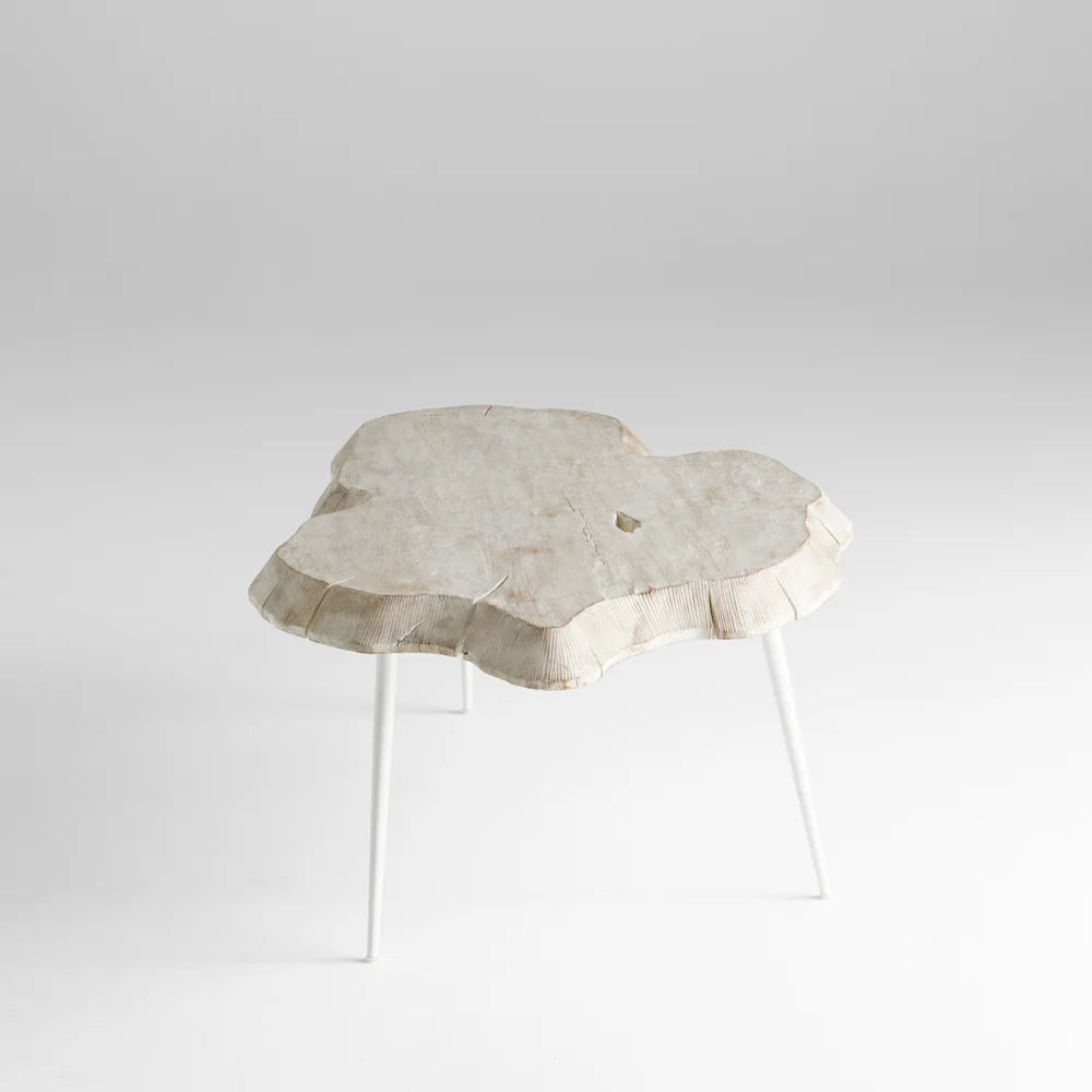 Whitewash Palmer Coffee Table - Bombay Mercantile