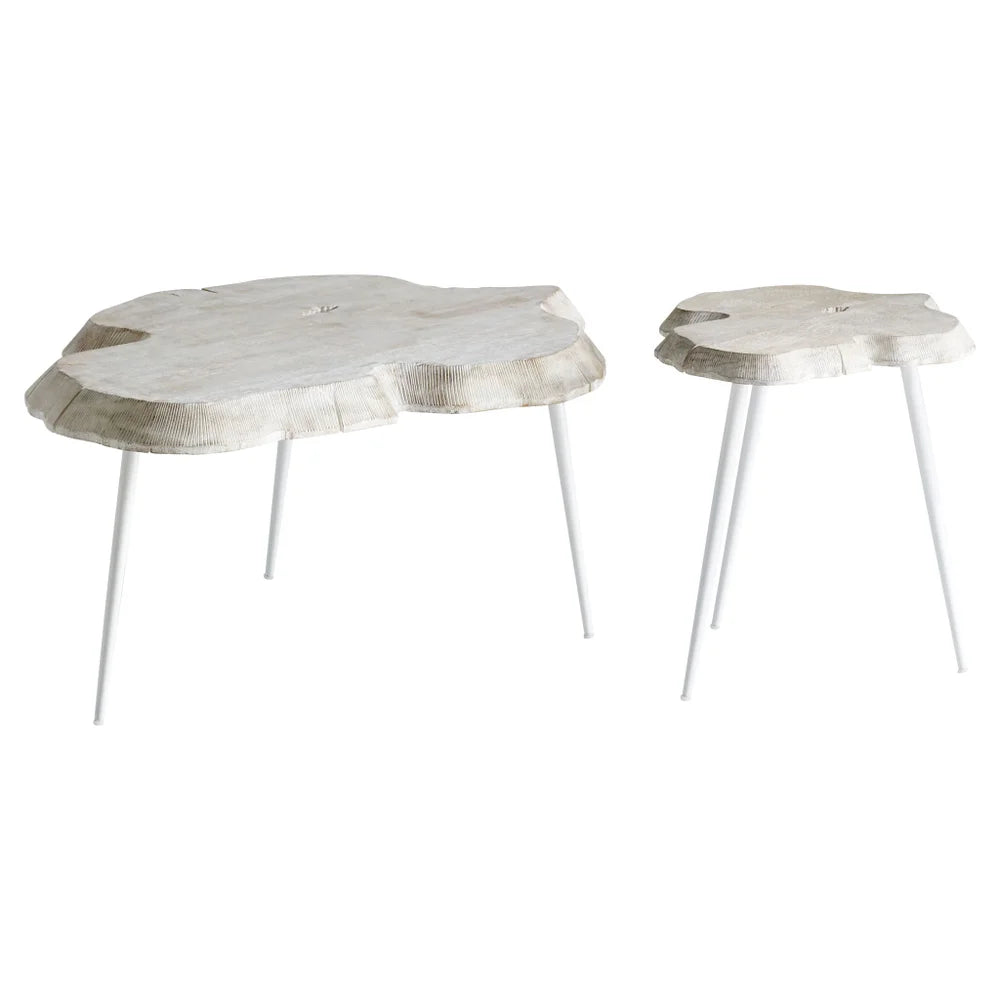 Whitewash Palmer Coffee Table - Bombay Mercantile