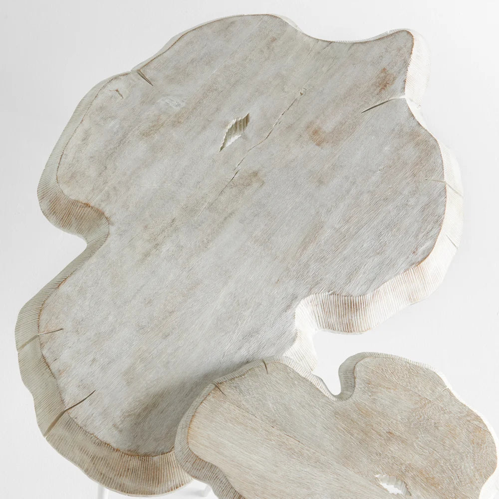 Whitewash Palmer Coffee Table - Bombay Mercantile