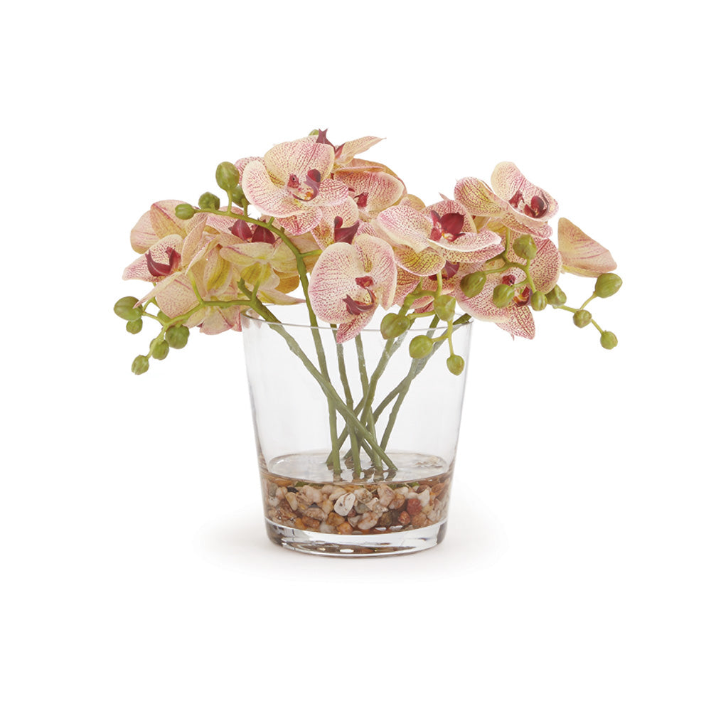 PHALAENOPSIS ARRANGEMENT IN VASE 8.5" - The Nifty Decor