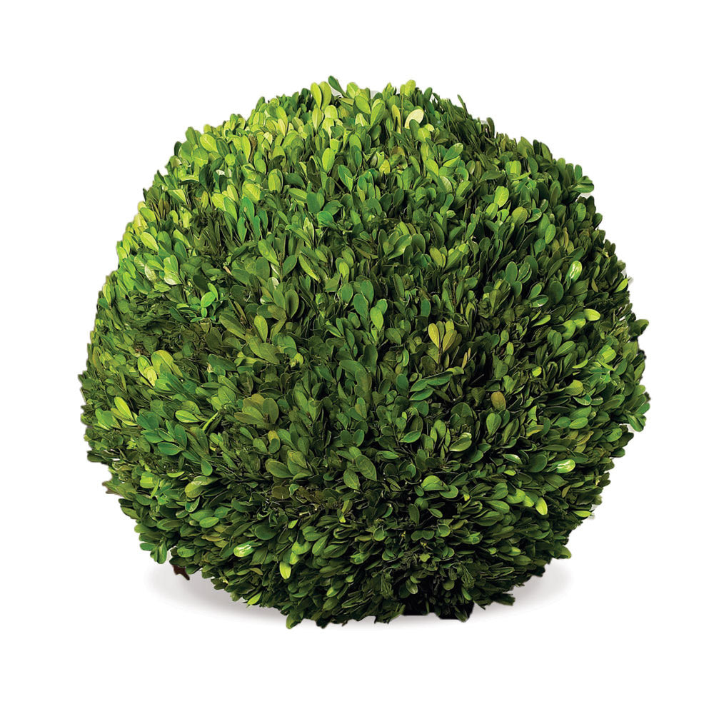 BOXWOOD BALL 16" - The Nifty Decor