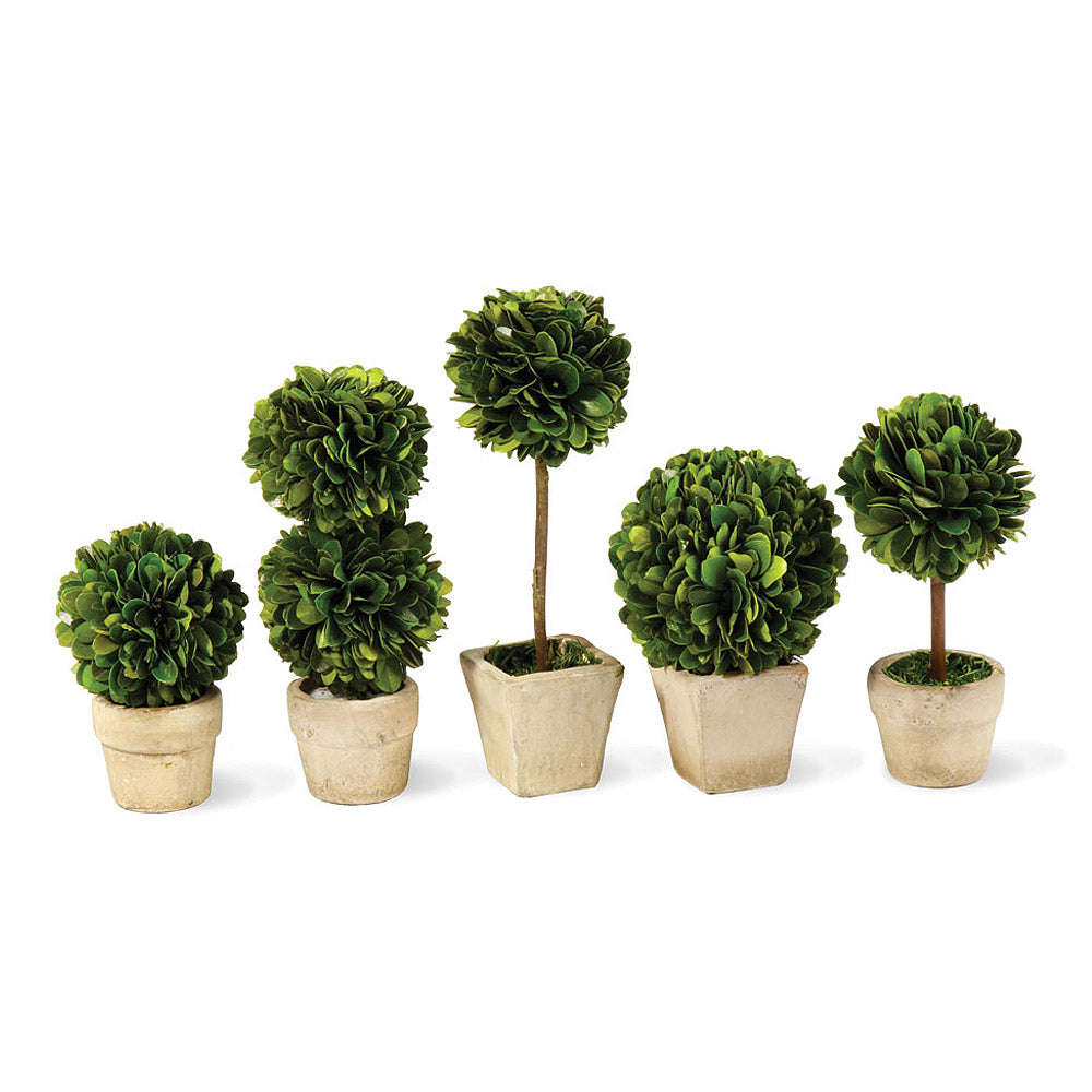 BOXWOOD MINI TOPIARIES IN POTS, SET OF 5 - The Nifty Decor