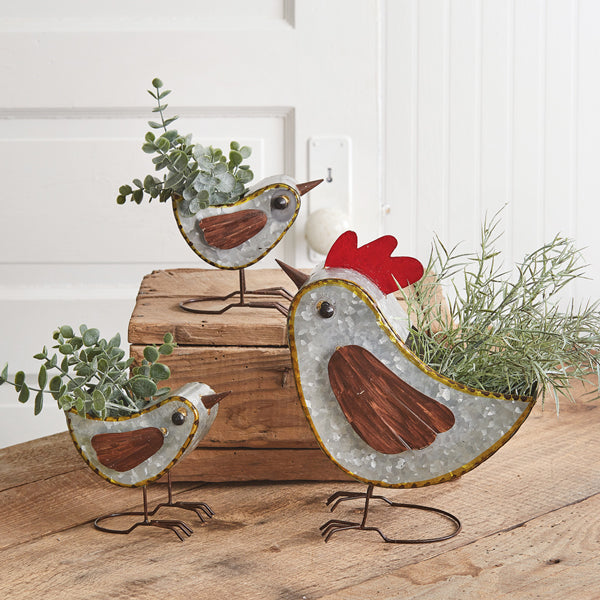 Hen and Chicks Containers - The Nifty Decor