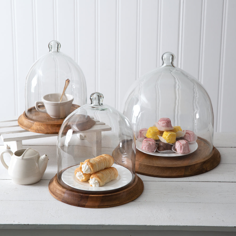 Glass Bell Shaped Cloche with Wood Base - Bombay Mercantile
