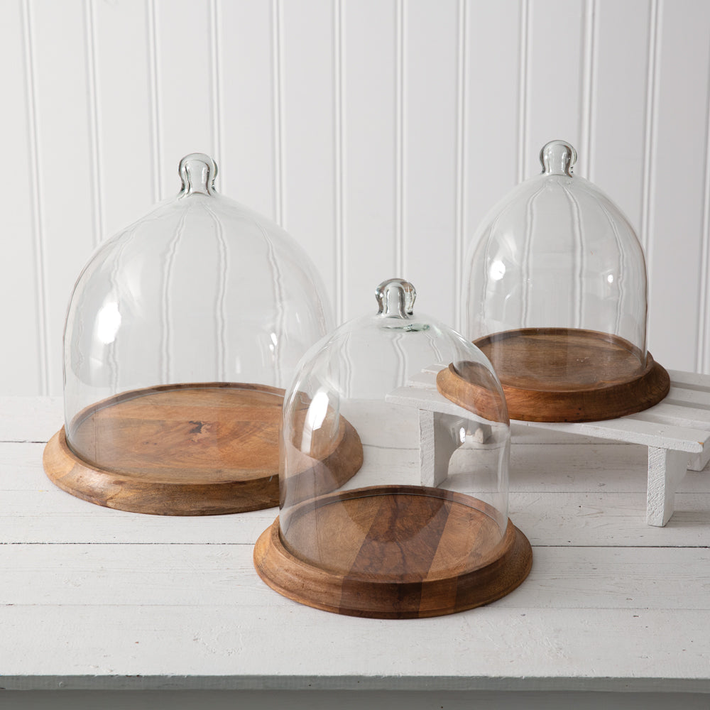 Glass Bell Shaped Cloche with Wood Base - Bombay Mercantile