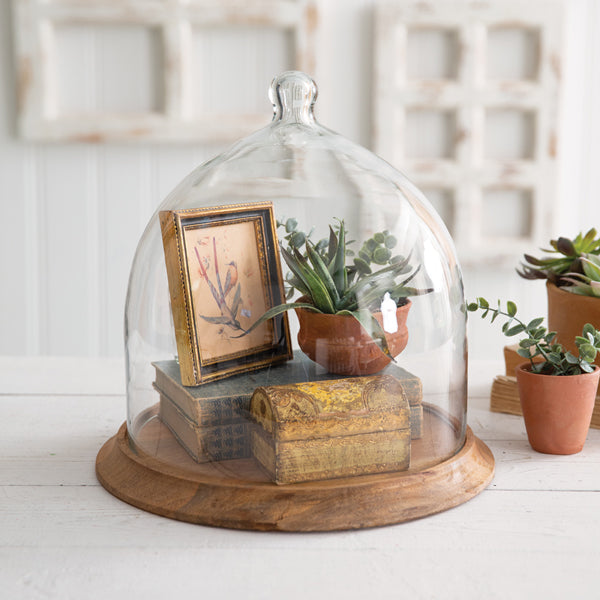 Glass Bell Shaped Cloche with Wood Base - Bombay Mercantile