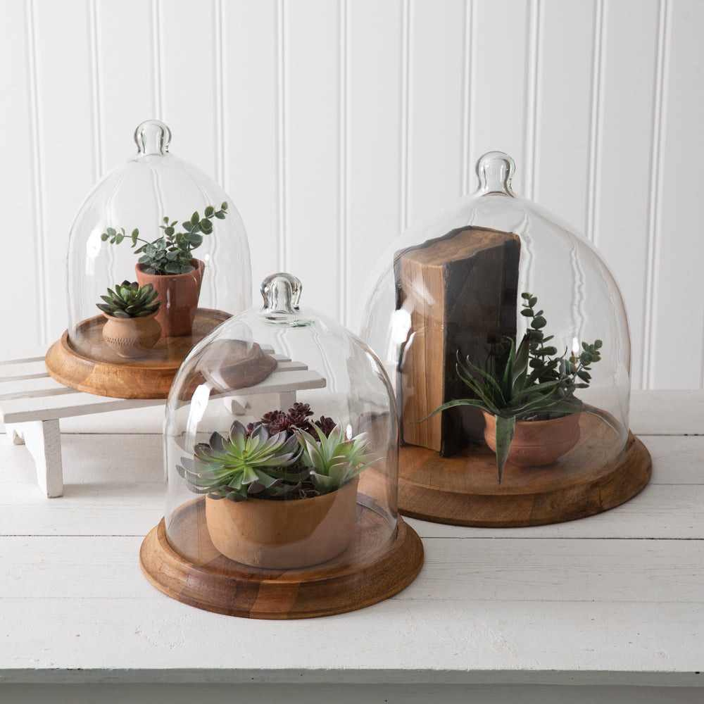 Glass Bell Shaped Cloche with Wood Base - Bombay Mercantile