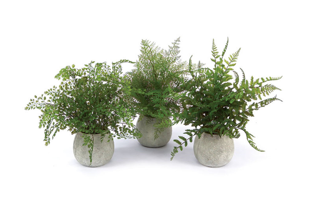 Potted Fern (Set of 3) - The Nifty Decor
