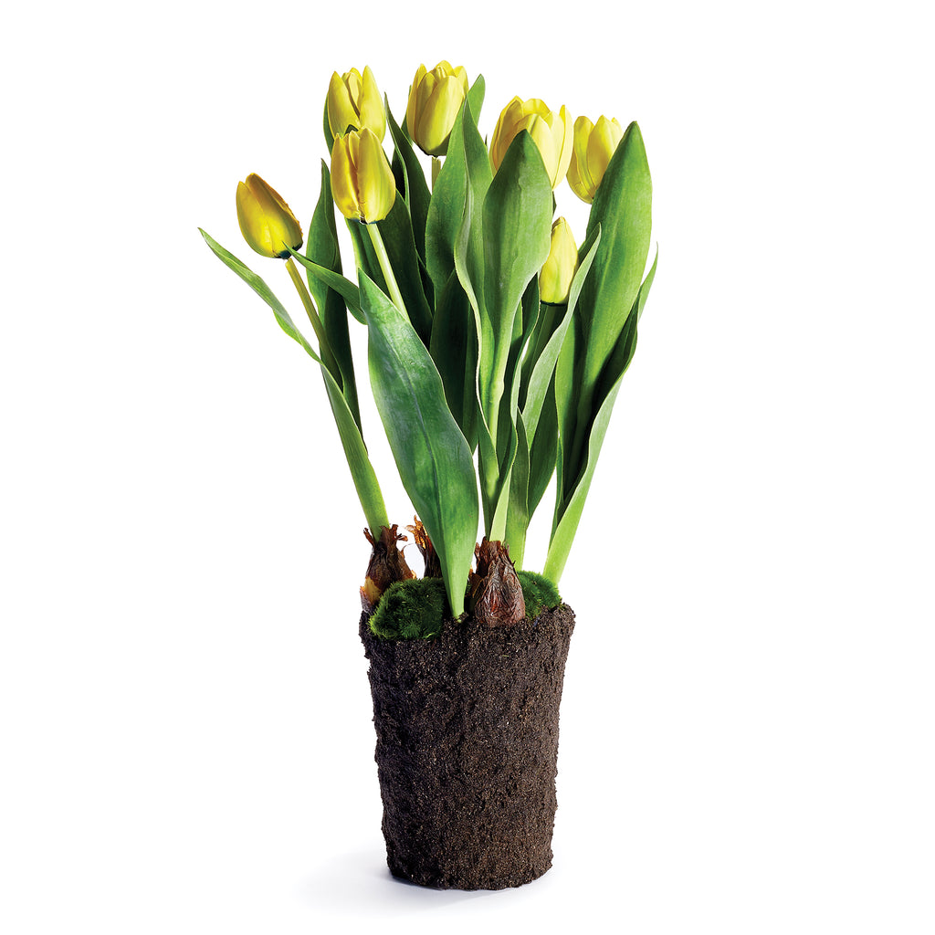 TULIP DROP-IN 22" - The Nifty Decor