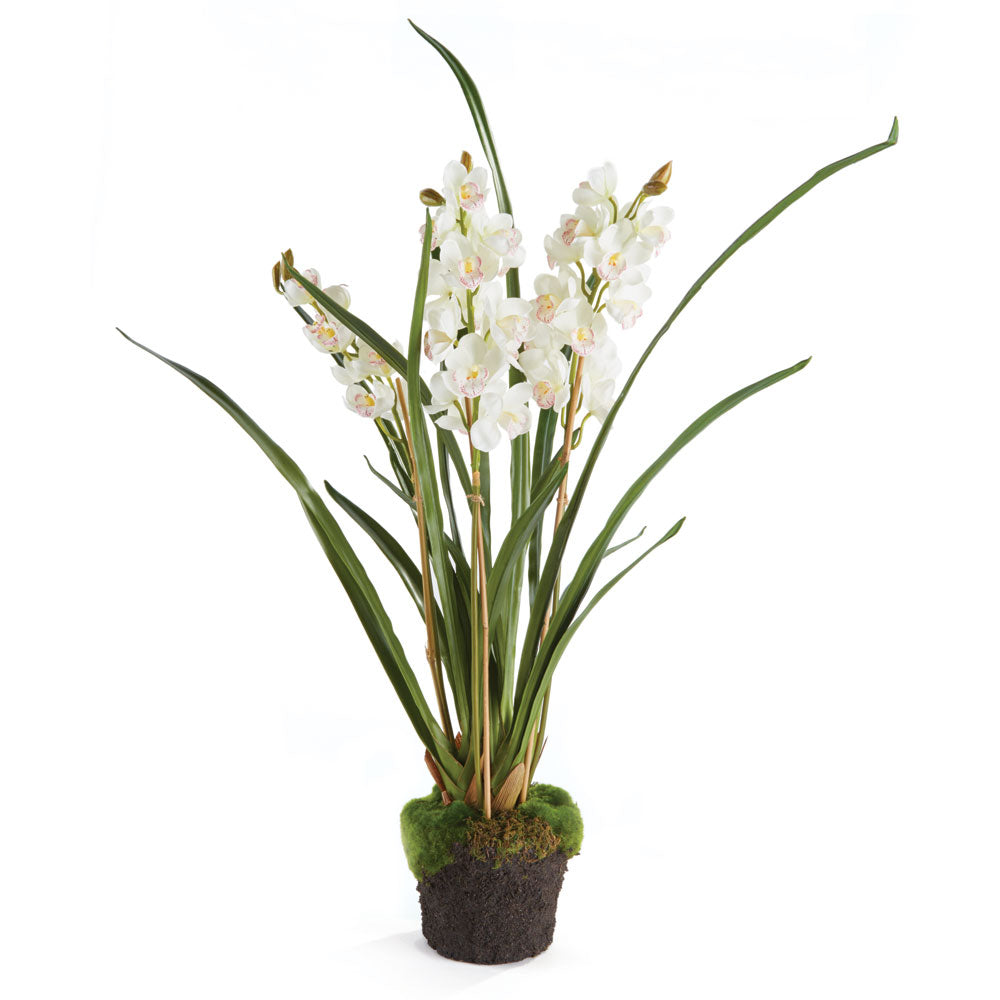CYMBIDIUM ORCHID X3 DROP-IN 36" - The Nifty Decor